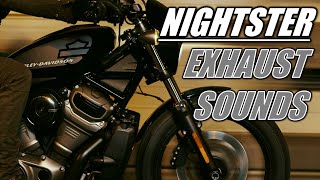 HARLEY NIGHTSTER 975 EXHAUST SOUNDS  STOCK AND AFTERMARKET [upl. by Elleiad705]