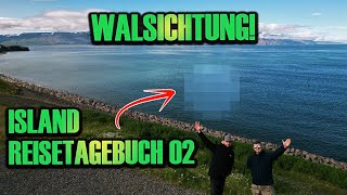 Walsichtung in Island  Island Reisetagebuch 2 [upl. by Halyahs]