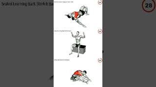 back workout at home v shred [upl. by Marlie]