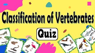 Mammals Birds Reptiles Fish or Amphibians Quiz  Classifying Vertebrates Quiz [upl. by Hanahsuar]