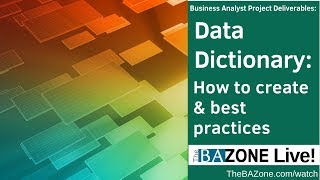 Data Dictionary How to create amp best practices Business Analyst Project Deliverables [upl. by Ennaear]