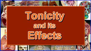 Red Blood Cells Osmosis and the Tonicity Experiment [upl. by Kubetz]