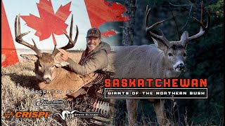 Saskatchewan Archery Deer Hunt 2024 [upl. by Jorry201]