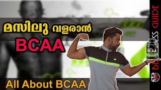 What Are BCAAs And How Do They WorkMalayalam Video  Certified Fitness Trainer Bibin [upl. by Chelsae]