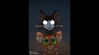 🥺😺Warrior cats edit😺🥺 shorts warriorcats warriorcatsedit warriors edit cats [upl. by Ettenel]