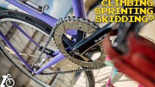 Why Is This the Most Popular Fixed Gear Ratio [upl. by Eeuqram370]