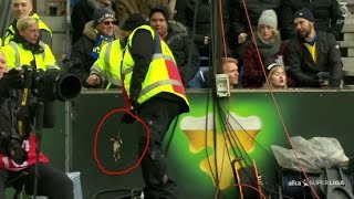 Rats thrown on the pitch during football match in Denmark [upl. by Reggis]