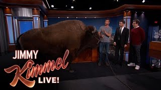 Wild Animals with Dave Salmoni amp Andy Samberg [upl. by Atinhoj]