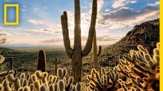 Deserts 101  National Geographic [upl. by Yorgerg124]