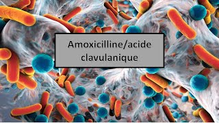 quotles médicaments génériques en Algérie quotAmoxicillineacide clavulanique [upl. by Nalorac]