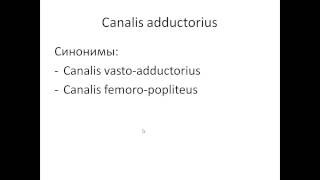 Топография Canalis femoralis pptx [upl. by Mlohsihc931]