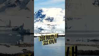 Commonwealth Bay Antarctica is the windiest place on Earth facts fact antarctica wind weather [upl. by Ramoj]