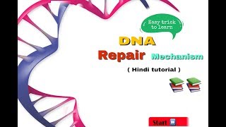 DNA repair in hindi  biology [upl. by Hoi]