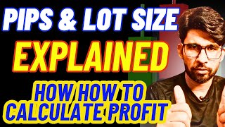 Pips amp Lot Size Explained  Forex Profit Calculation Made Easy [upl. by Cheyney]