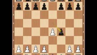 Chess Openings The Kings Gambit [upl. by Atoel]