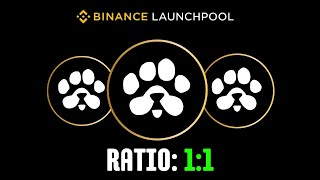 Paws Airdrop Binance Listing Confirm  Paws Airdrop Ratio [upl. by Sitoiganap]