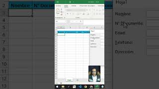 Como hacer un formulario de ingresos de datos en Excel en menos de un minuto [upl. by Ofelia]