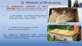 Apiculture Part 2 Methodology Moveable hives Products and tools of beekeeping or Apiculture [upl. by Codee388]