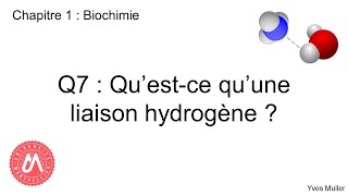 Chapitre 1  Biochimie  Q7  Questce quune liaison hydrogène [upl. by Fortunia]