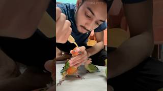 Birds hand feeding problem 🦜 birds hand feeding birds handfeed minivlog shortsfeed [upl. by Hapte]