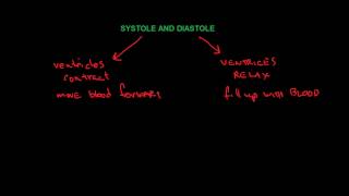 systole and diastole [upl. by Leen300]