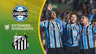 Grêmio vs Santos Extended Highlights  Brasilerao Série A  CBS Sports Golazo  South America [upl. by Oned257]