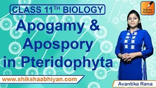 Apogamy amp Apospory in Pteridophyta  Plant Kingdom  CBSE Class 11 Biology [upl. by Ades]