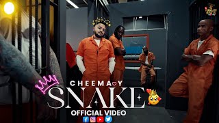 SNAKE Official Music Video Cheema Y  Gur Sidhu  Punjabi Song 2024 [upl. by Roslyn]