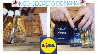 HAUL LIDL  LES DUPES DE PARFUMS [upl. by Ynez]