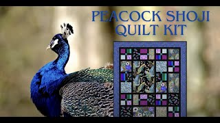 Peacock Shoji  Whats in the Colorful Kit from Keepsake Quilting [upl. by Miran]