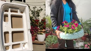 Thermocol Box se banayen ek sundar Flower🌺🌻🌹🌷 bed Use thermocol box as a planter [upl. by Atirahc]