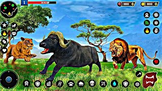 Lion Simulator Animal Games 3D  Android Gameplay [upl. by Obadias]