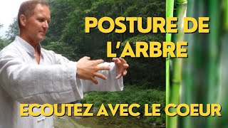 SoieZen Extrait du Qi Gong en ligne  La posture de larbre lécoute du Coeur [upl. by Dracir]