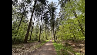 Radtour BremenVegesack nach Oldenburg Oldbg [upl. by Storfer524]