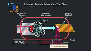 RADIATION PHYSICS [upl. by Ahsikit]