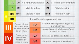 Cáncer Cervicouterino causas síntomas y tratamiento [upl. by Rainger131]