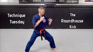 Technique Tuesday  How To The Roundhouse Kick [upl. by Kcirednek295]