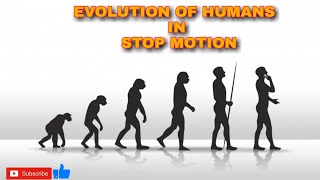 The Evolution Of Humans From Single Cells To Today  Stop Motion [upl. by Oznarol169]