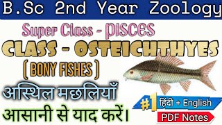 Class Osteichthyes Bony Fishes  Animal Kingdom in Hindi  वर्ग ऑस्टिक्थीज़ अस्थिल मछलियाँ [upl. by Denison]