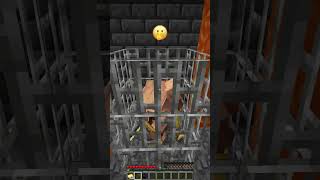 Nether Grove vs Emoji Secret Room shorts minecraft memes [upl. by Romina]