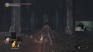 new ds3 run [upl. by Slin]