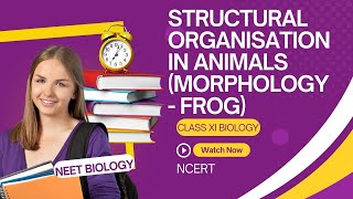 STRUCTURAL ORGANISATION IN ANIMALSMORPHOLOGY OF FROG CHAPTER 7 NCERT CLASS 11 BIOLOGY NEET BIOLOGY [upl. by Solotsopa]