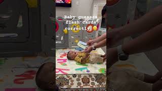 Baby guesses flash cards correctly babyshorts babyboy flashcards viral ytshorts trending [upl. by Janaye179]