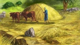 🔴 LIVE Threshing floor of Araunahఓర్నాను కళ్ళము Hyderabad24022024 BroLuke Barnabas [upl. by Acul]