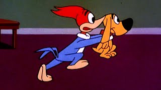 Woody Rescues His Dog  25 Hours of Classic Episodes of Woody Woodpecker [upl. by Gmur]