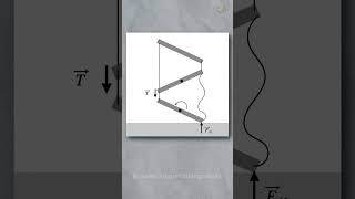 Falling ladder falls faster than free fall explained ladder facts fast shorts [upl. by Hildagard]