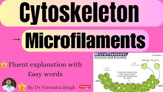 Cytoskeleton Structure and Function  Microfilaments  For BSc 1 sem MSc 2 Sem  NET  CSIR etc [upl. by Dash]