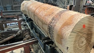 SawMilling Big Healthy Ash 116 [upl. by Hernardo]