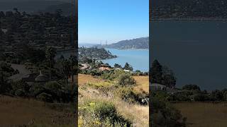 View From the Hills of Tiburon [upl. by Eseer]