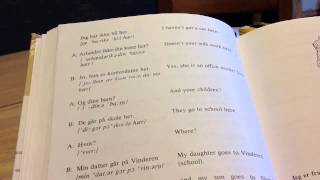 Norwegian Vocabulary and Phrases 2 [upl. by Ycram448]